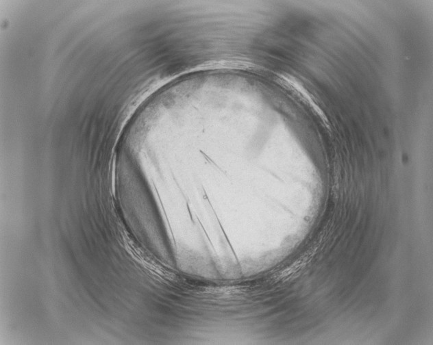 X0000059081276200510281714