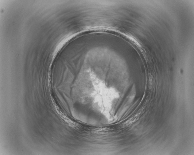 X0000059081279200510281714