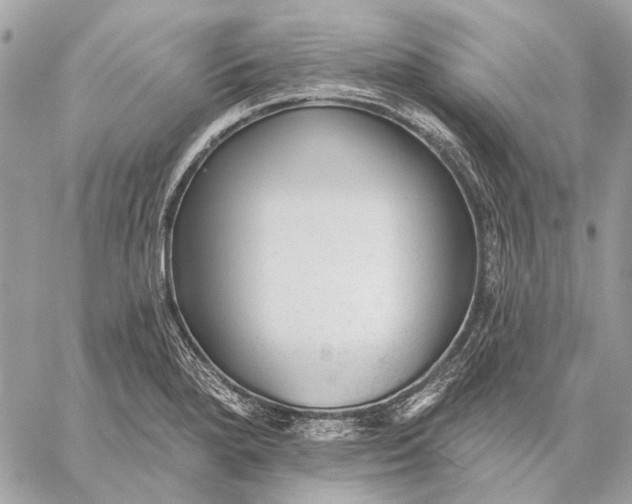 X0000059081280200510281714