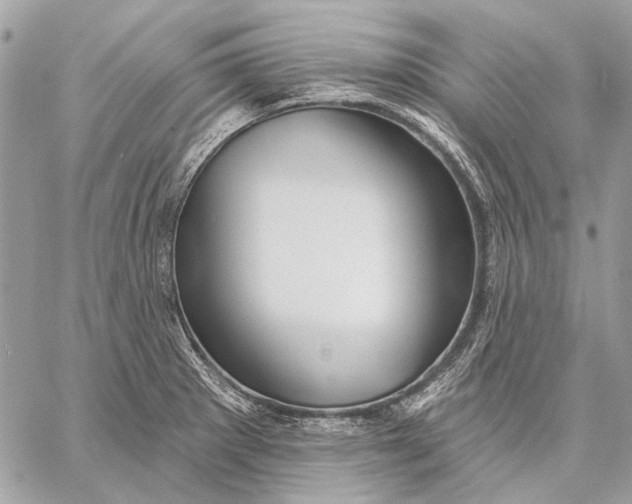 X0000059081281200510281714