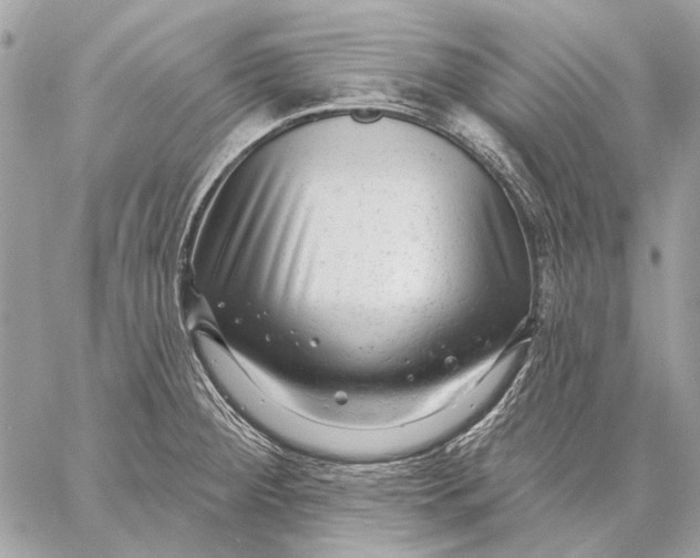 X0000059081284200510281714