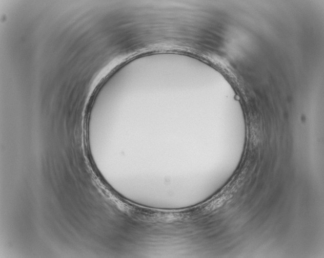 X0000059081286200510281714