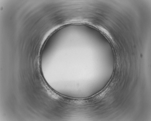 X0000059081288200510281714