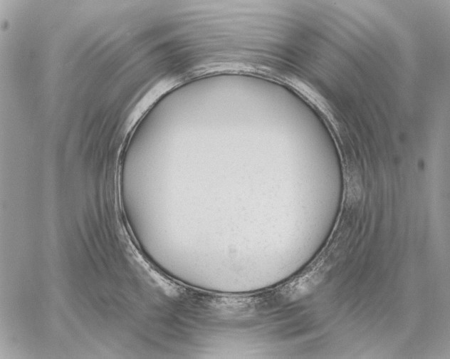 X0000059081290200510281714