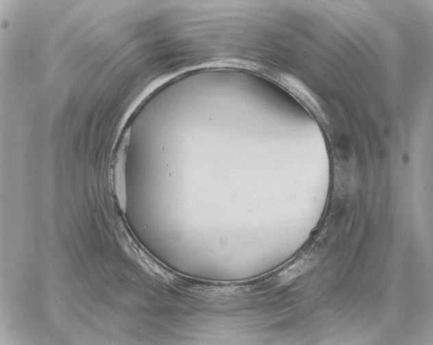 X0000059081292200510281714