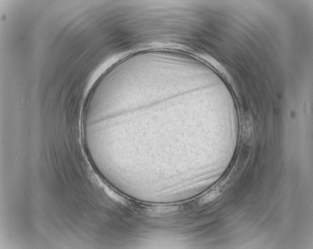 X0000059081294200510281714