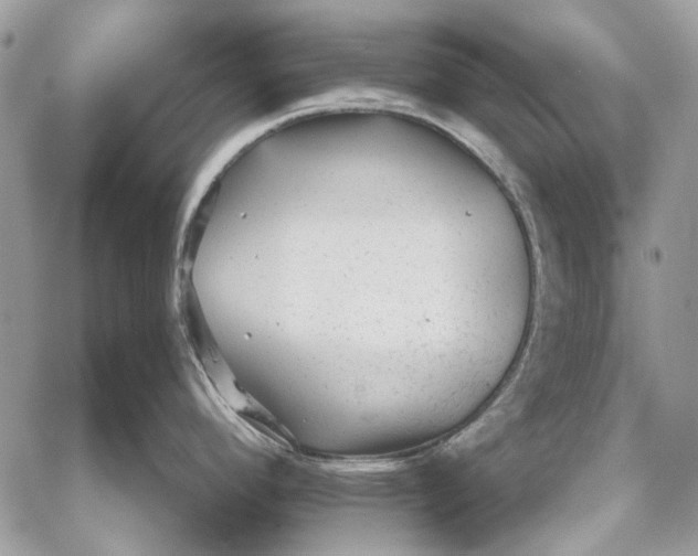 X0000059081296200510281714