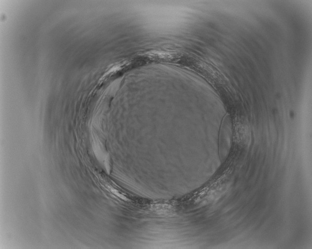 X0000059081297200510281713