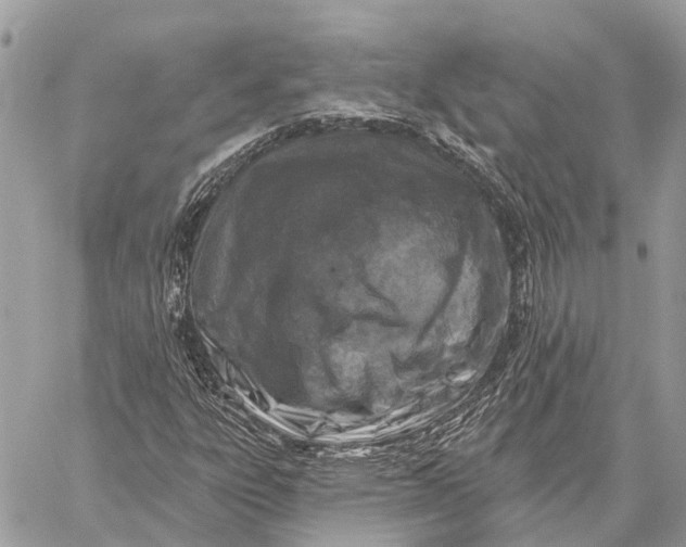 X0000059081303200510281713