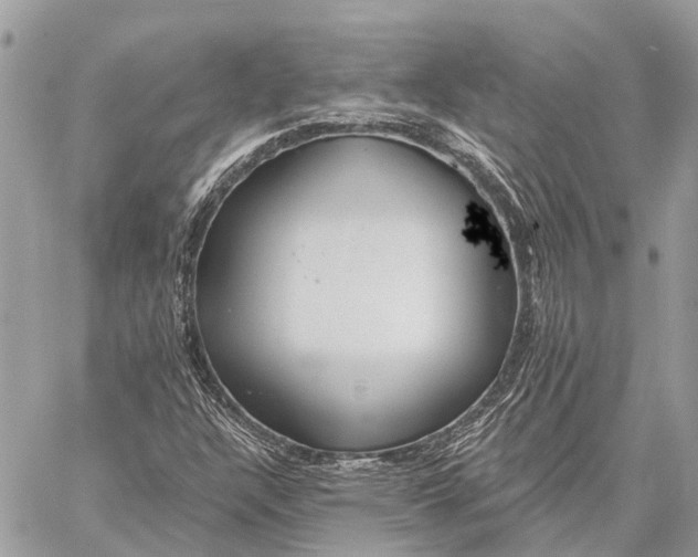 X0000059081304200510281713