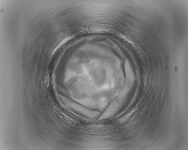 X0000059081306200510281713