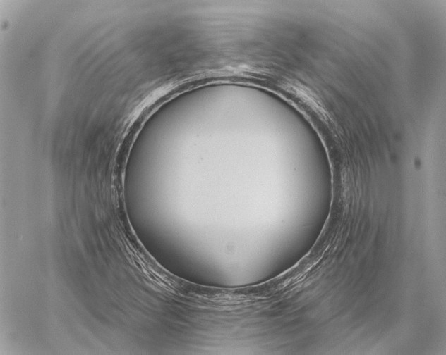 X0000059081308200510281713