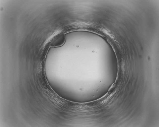 X0000059081309200510281713