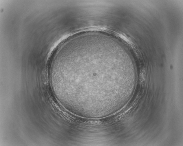 X0000059081310200510281713