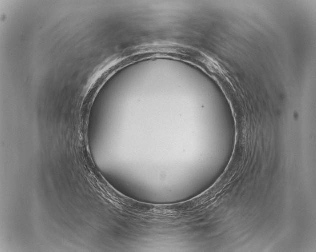 X0000059081312200510281713