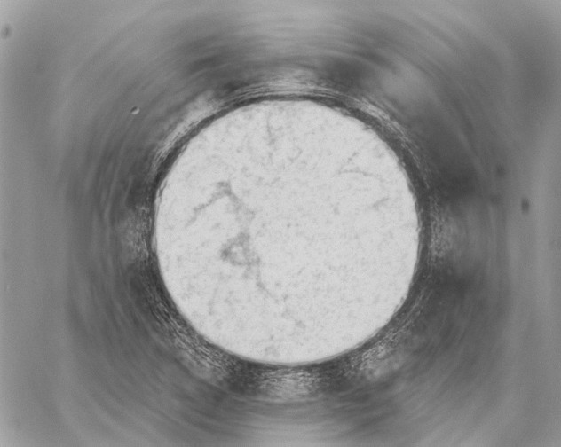 X0000059081314200510281713