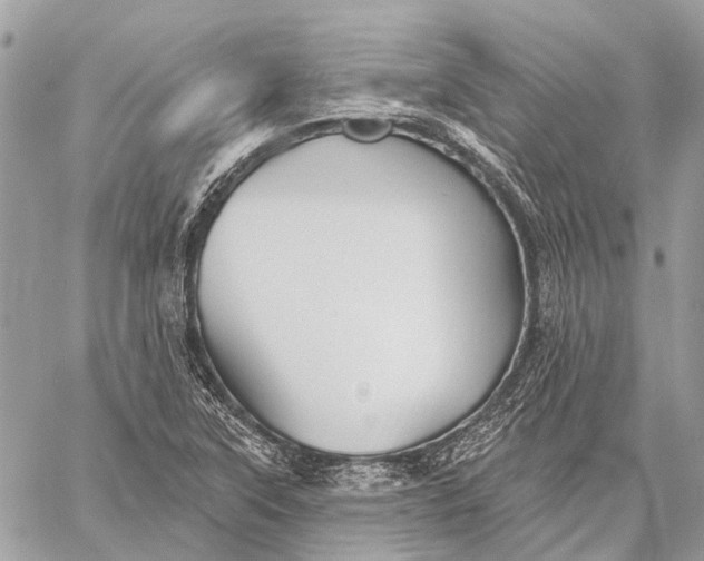 X0000059081315200510281713