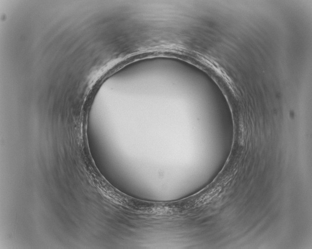 X0000059081316200510281713