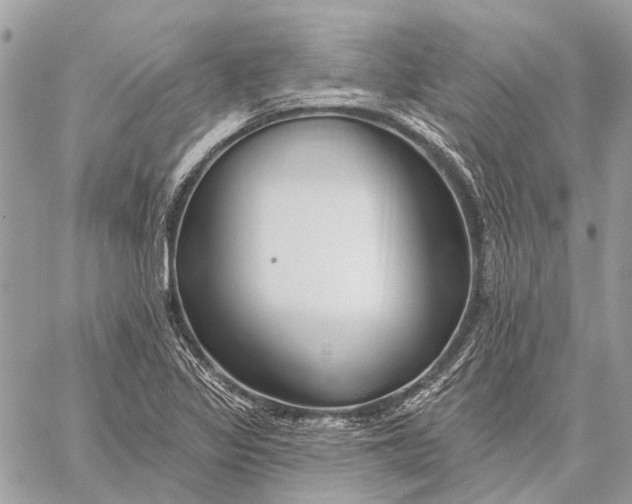 X0000059081317200510281713