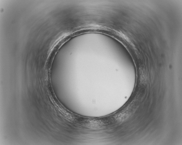 X0000059081318200510281713