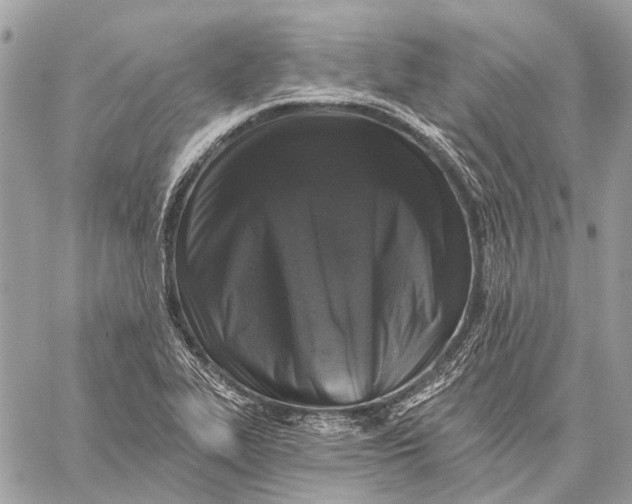 X0000059081319200510281713