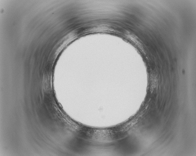 X0000059081322200510281713