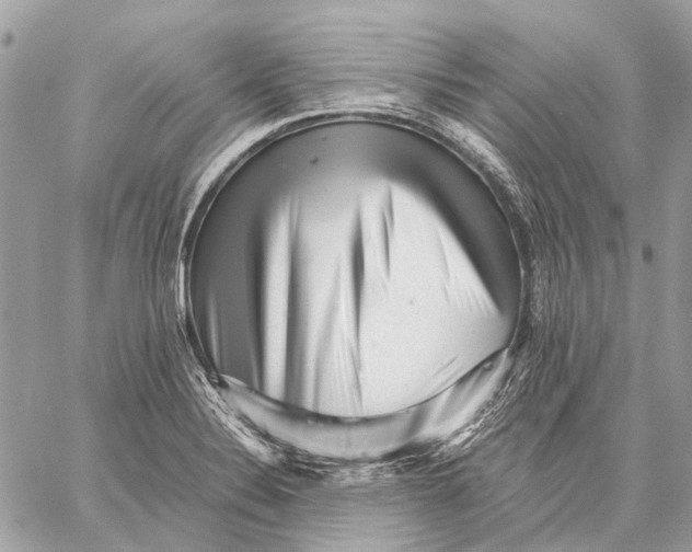 X0000059081324200510281713