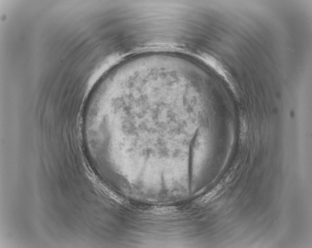 X0000059081325200510281713