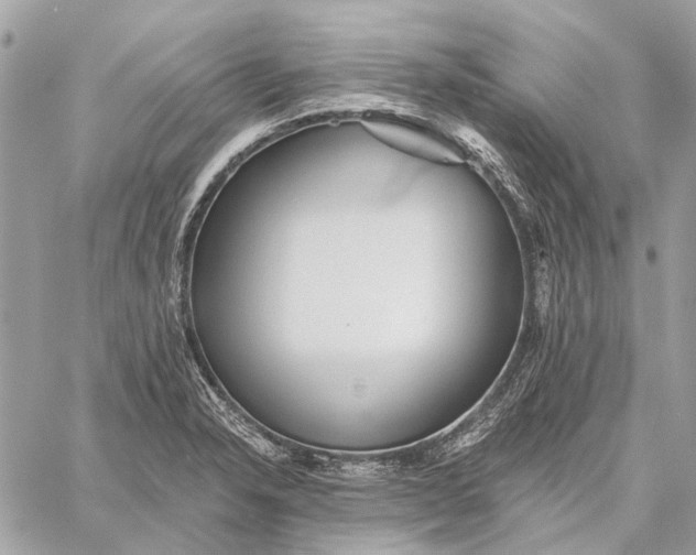 X0000059081326200510281713