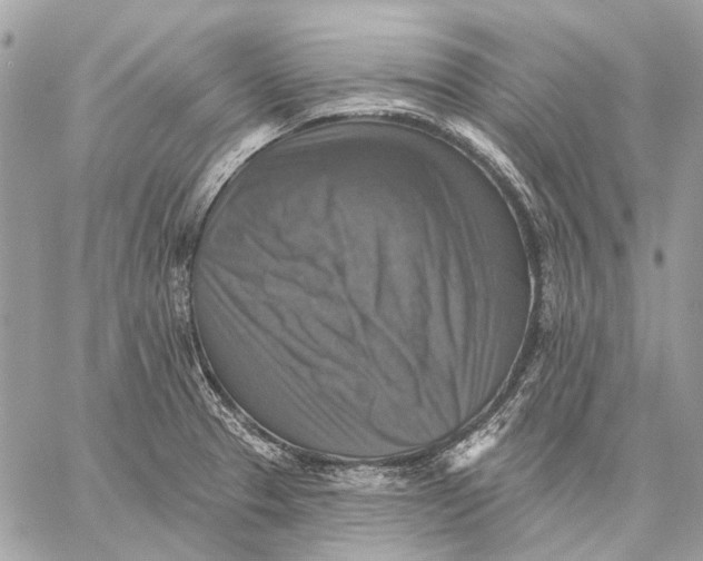 X0000059081329200510281714