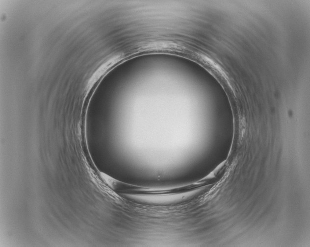 X0000059081330200510281714