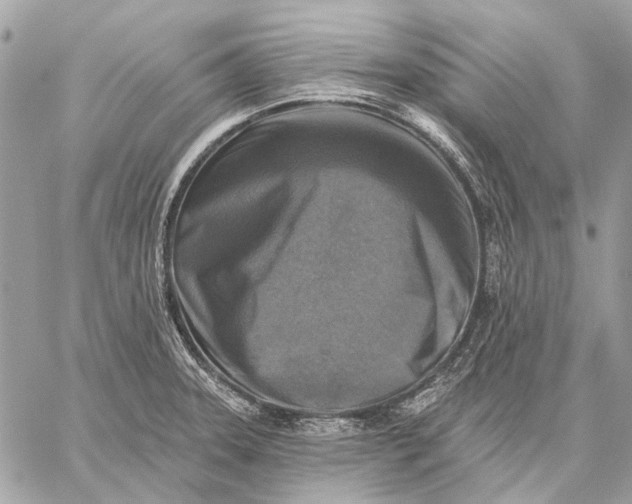 X0000059081331200510281714