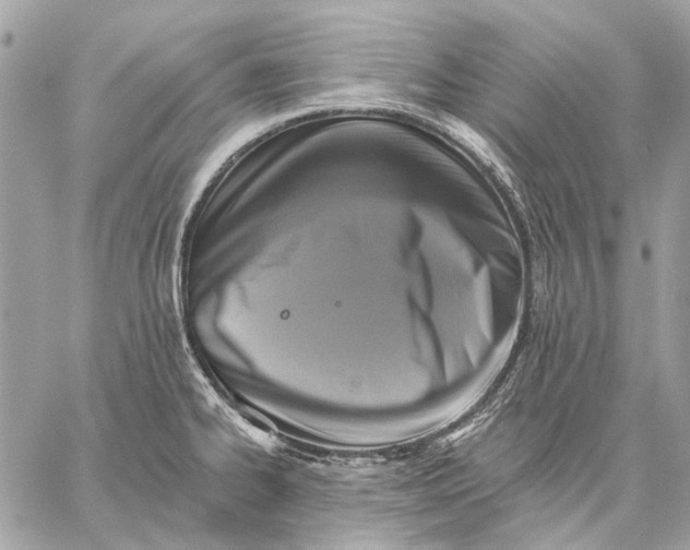 X0000059081334200510281714