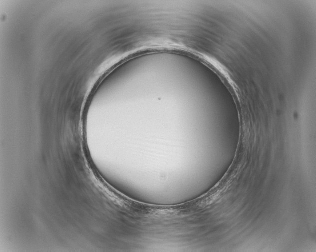 X0000059081335200510281714