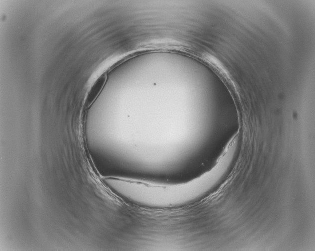 X0000059081336200510281714