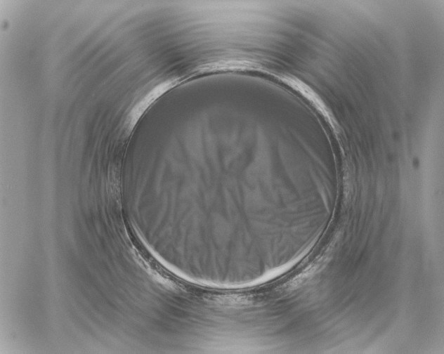 X0000059081337200510281714