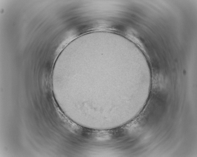 X0000059081338200510281714