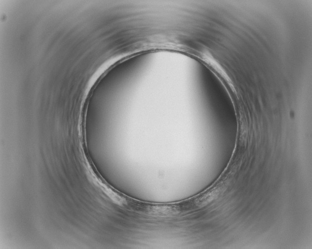 X0000059081339200510281714