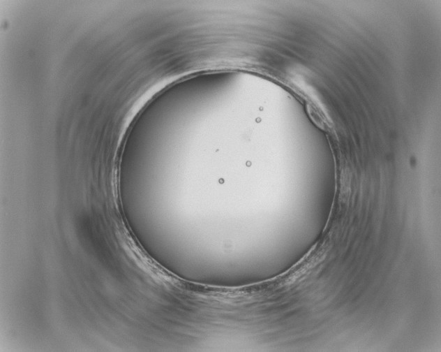 X0000059081340200510281714