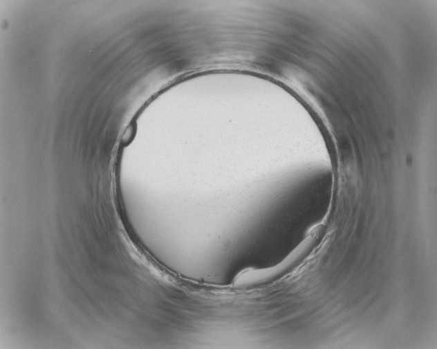 X0000059081341200510281714