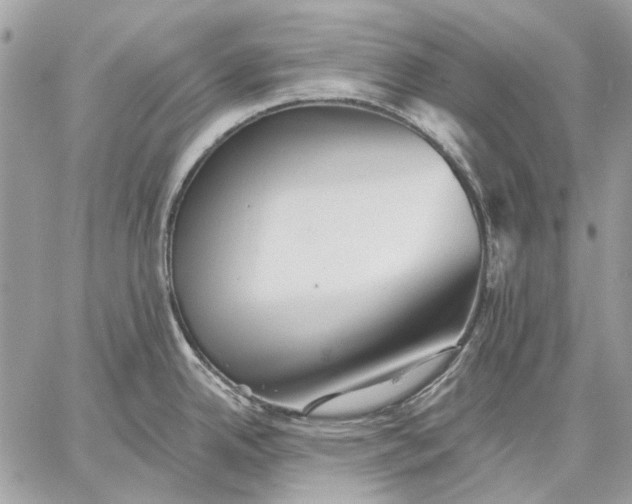 X0000059081342200510281714