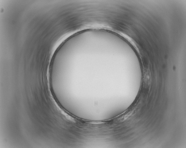 X0000059081343200510281714