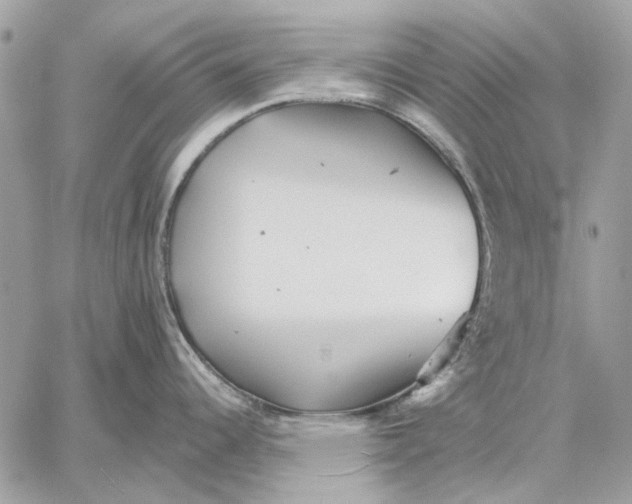 X0000059081344200510281714