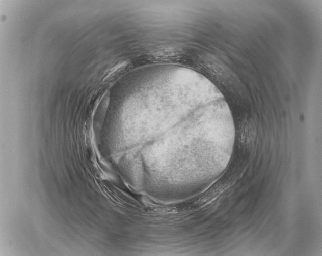 X0000059081346200510281713