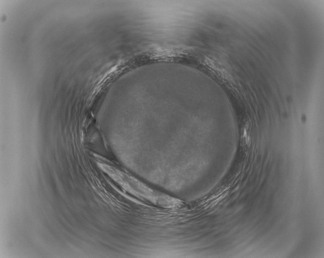 X0000059081348200510281713