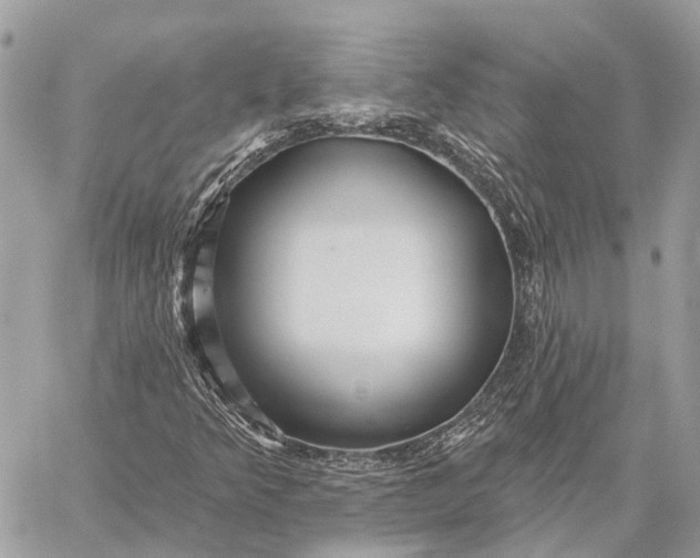 X0000059081349200510281713