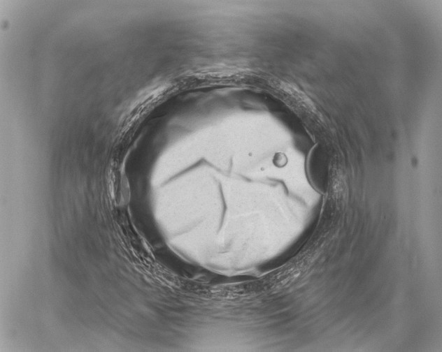 X0000059081350200510281713