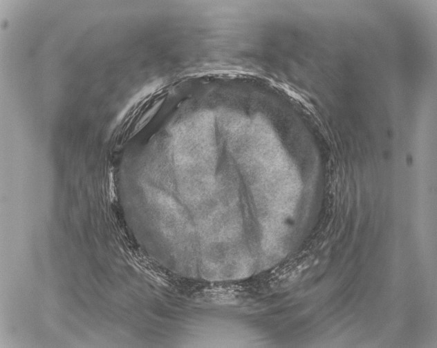 X0000059081351200510281713