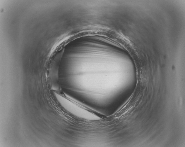 X0000059081352200510281713