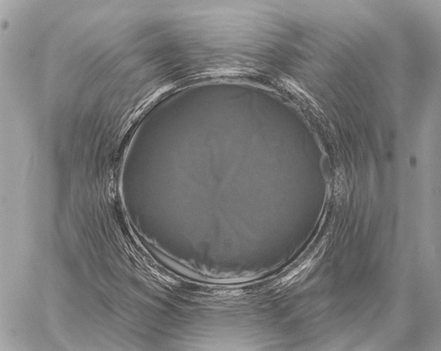 X0000059081353200510281713